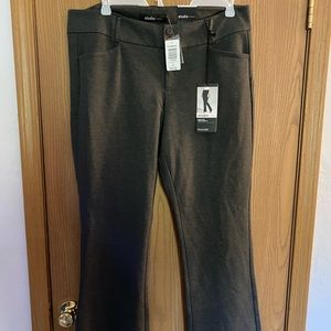 Studio by Torrid Trousers